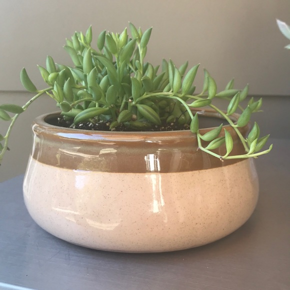 Other - New Ceramic Planter NWOT